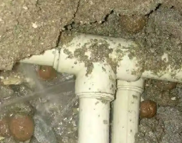 龙南测漏水多少钱