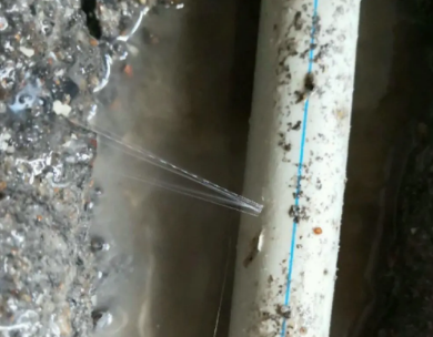 龙南测漏水哪家好